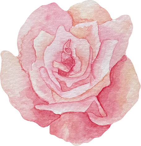 Watercolor Rose Illustration