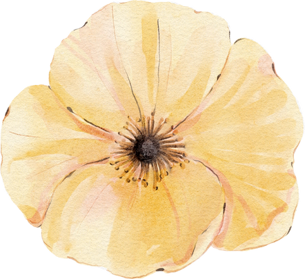 Watercolor yellow flower